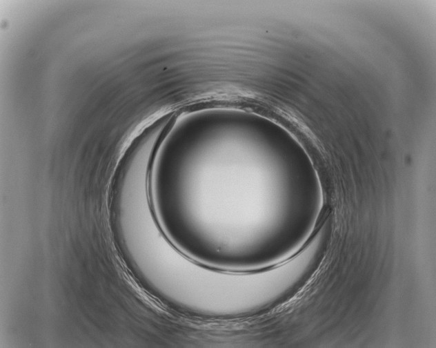 X0000087571026200705041413