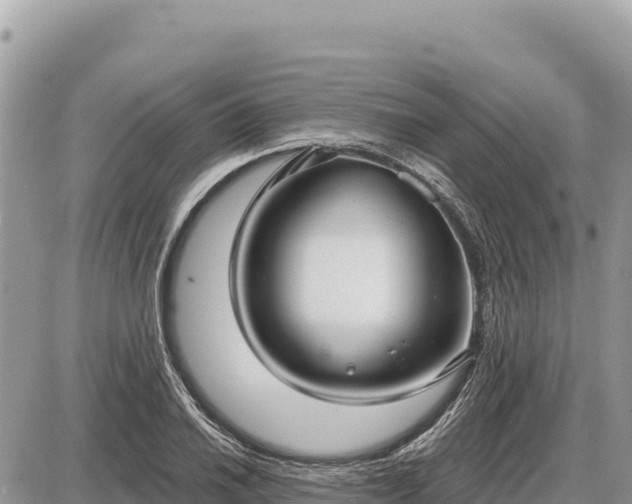 X0000087571030200705041413