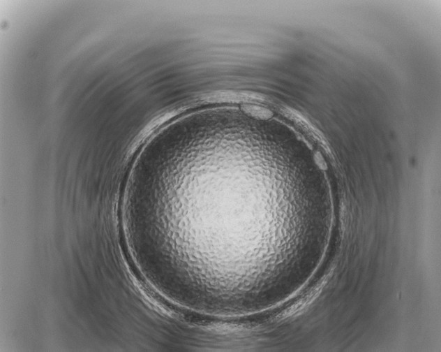 X0000087571033200705041413