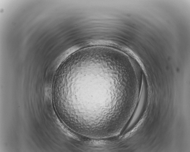 X0000087571041200705041413