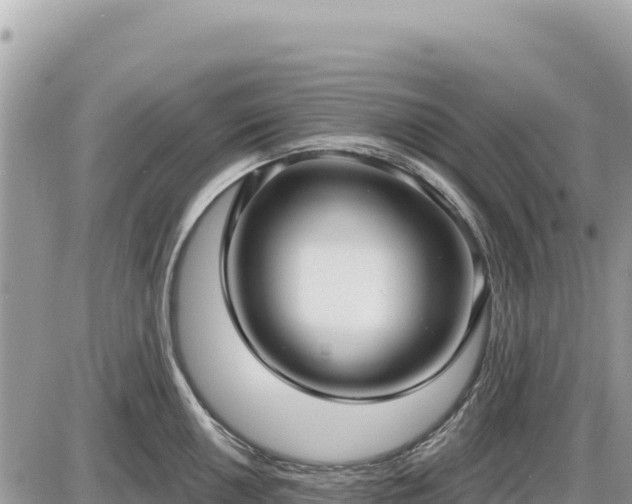 X0000087571050200705041413