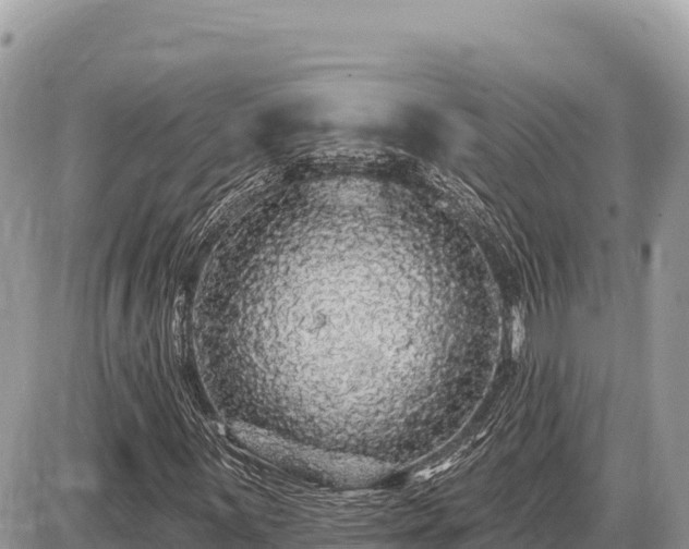 X0000087571059200705041412
