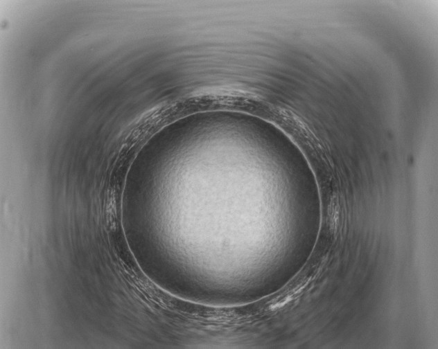 X0000087571062200705041412