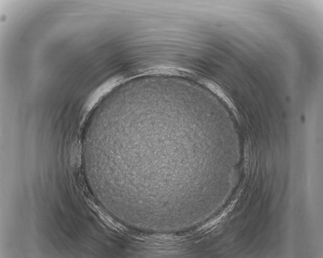 X0000087571067200705041412