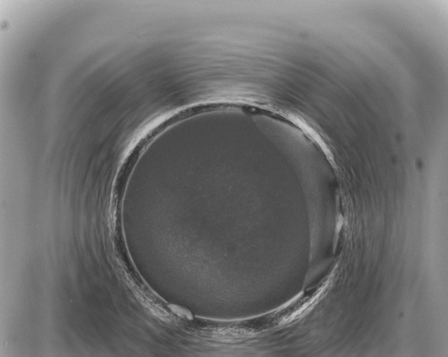 X0000087571077200705041412