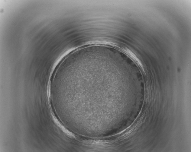 X0000087571084200705041412