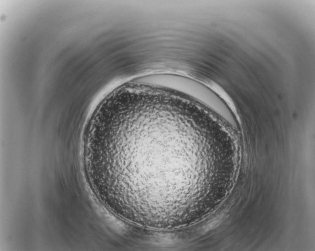 X0000087571096200705041412