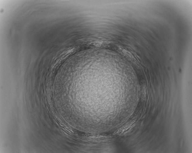 X0000087571105200705041411