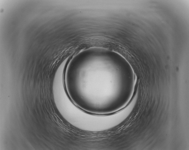 X0000087571108200705041411