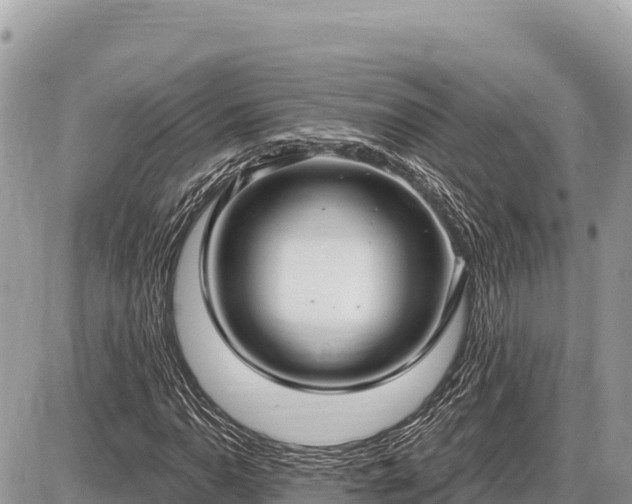 X0000087571110200705041411