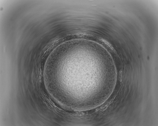 X0000087571111200705041411