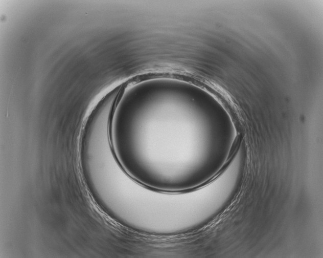 X0000087571120200705041411