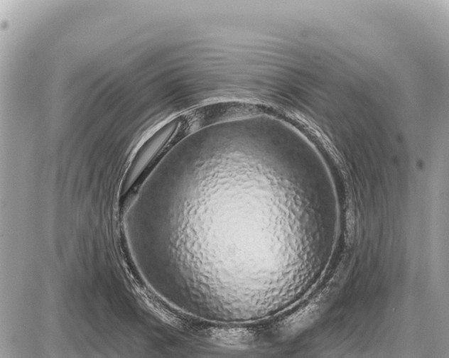 X0000087571129200705041411