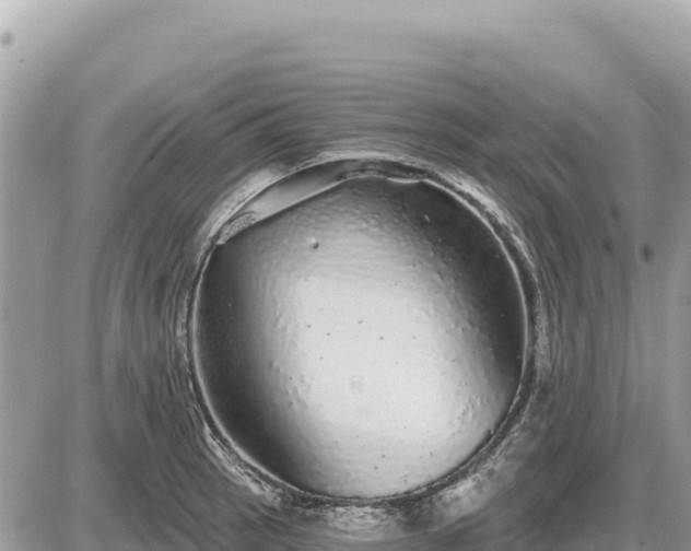 X0000087571137200705041411