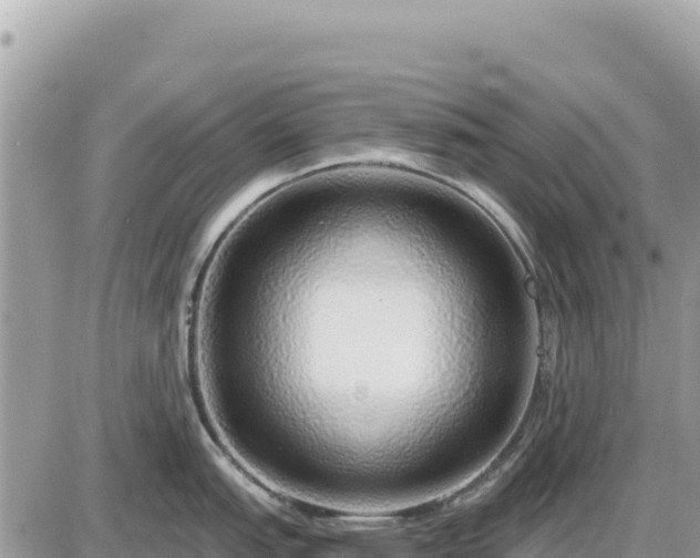 X0000087571151200705041412