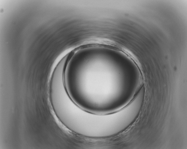 X0000087571152200705041412