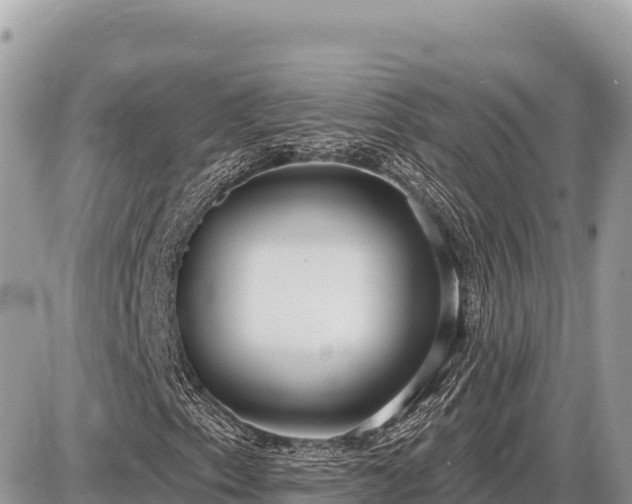 X0000087571153200705041411