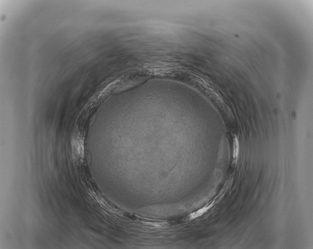X0000087571155200705041411