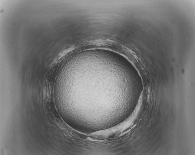 X0000087571158200705041411