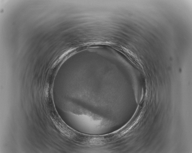 X0000087571161200705041411
