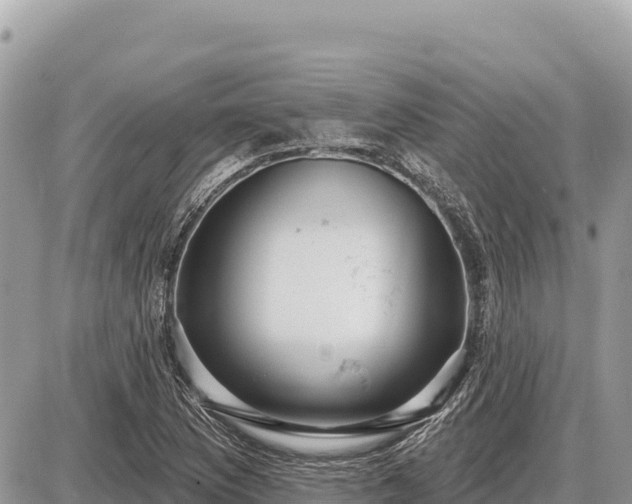 X0000087571169200705041411