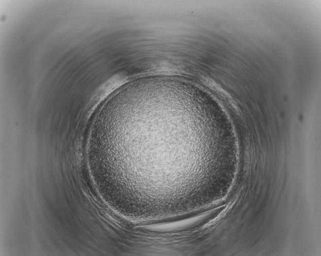 X0000087571170200705041411