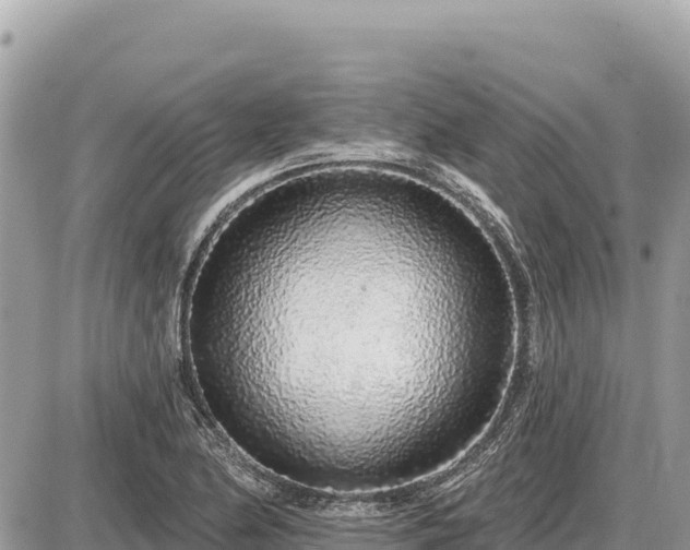 X0000087571174200705041410