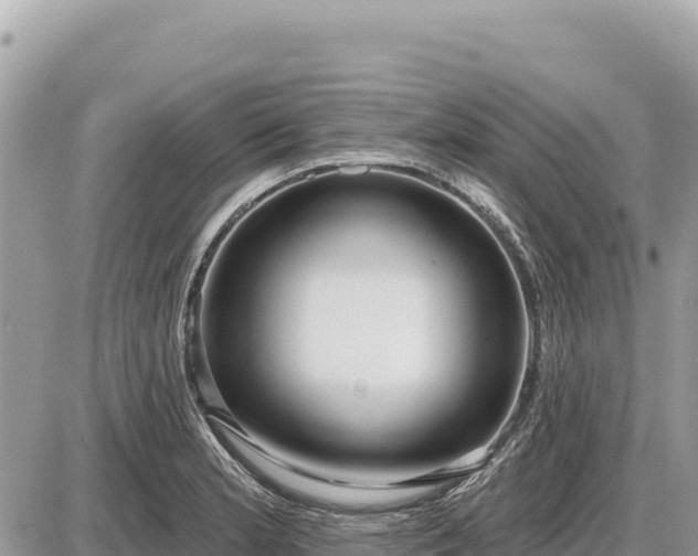 X0000087571181200705041410