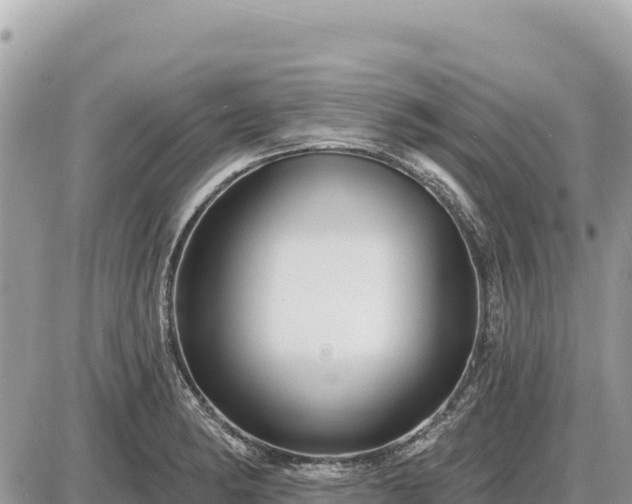X0000087571182200705041410