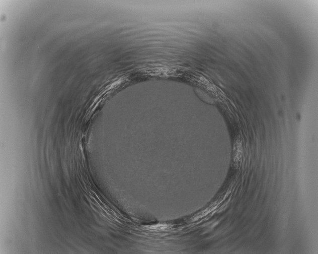 X0000087571202200705041409