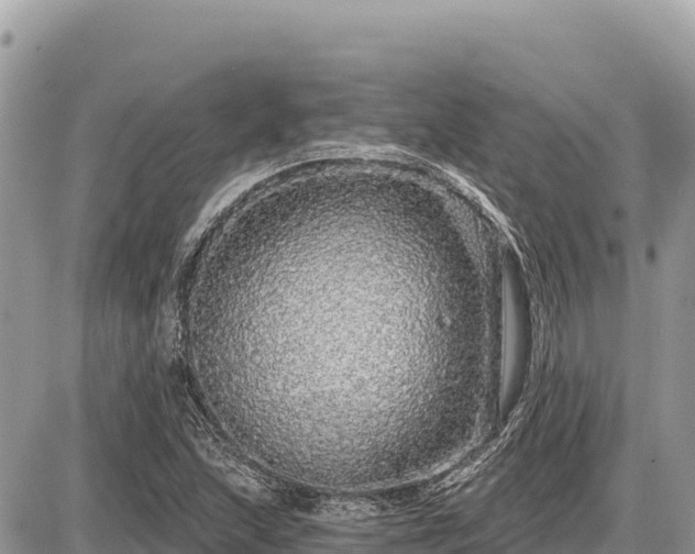 X0000087571215200705041410