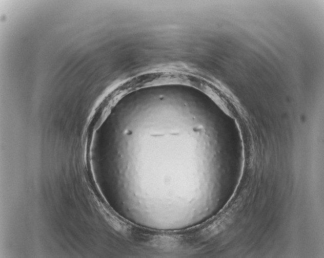 X0000087571224200705041410