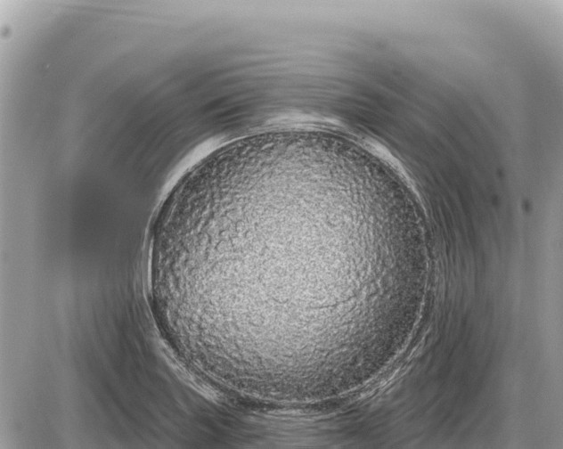 X0000087571227200705041410