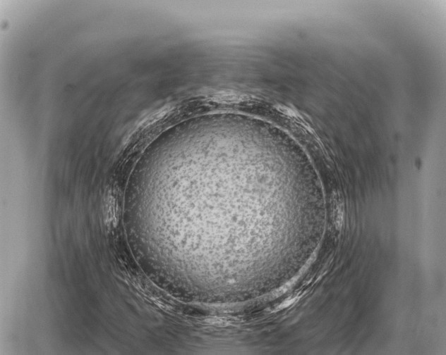X0000087571253200705041409
