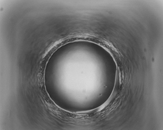X0000087571256200705041409