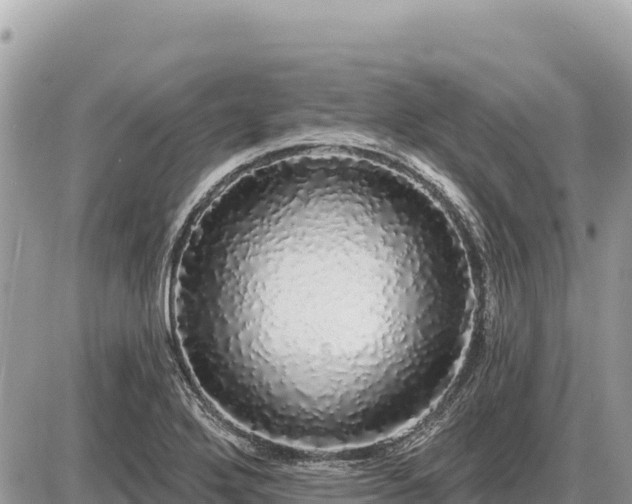X0000087571272200705041409