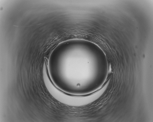 X0000087571298200705041408
