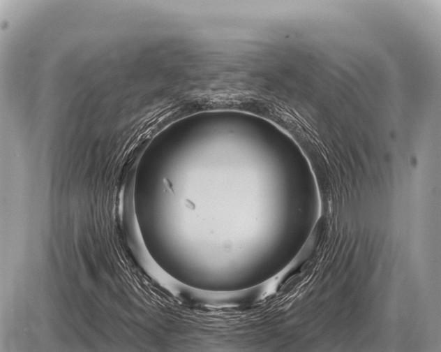 X0000087571300200705041408