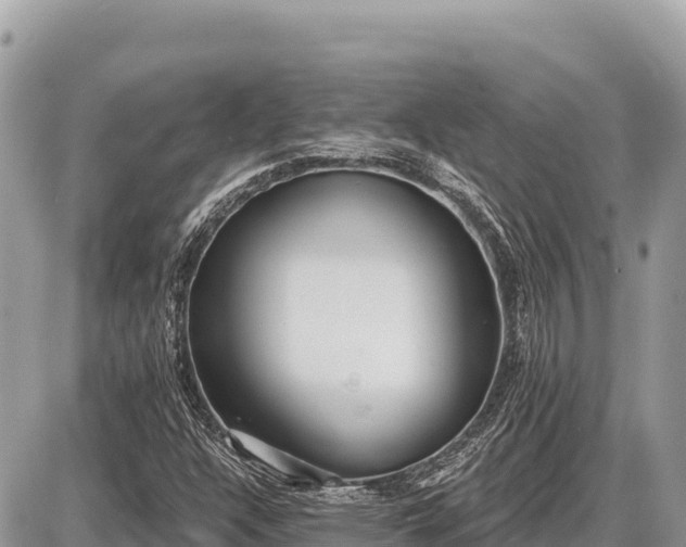 X0000087571304200705041408