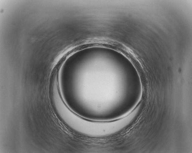 X0000087571312200705041408
