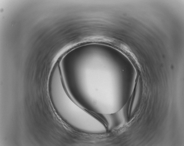 X0000087571328200705041408