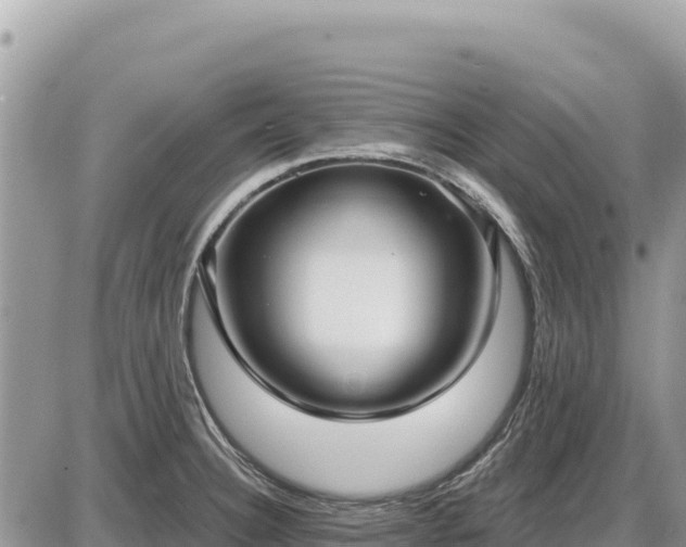 X0000087571332200705041408