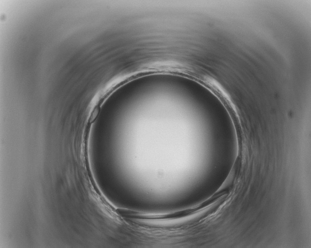 X0000087571336200705041408
