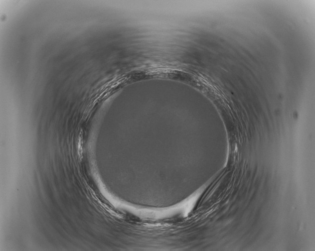 X0000087571348200705041408