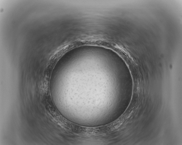 X0000087571350200705041408