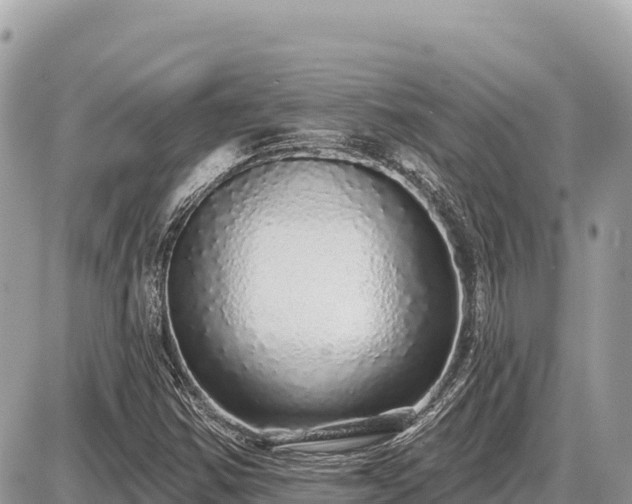 X0000087571354200705041408