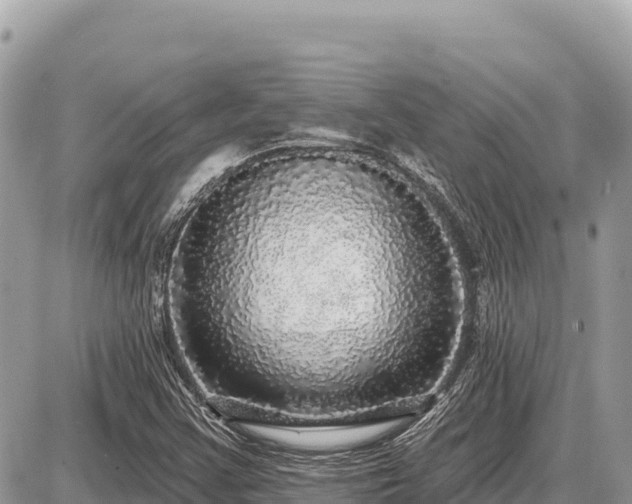 X0000087571355200705041408