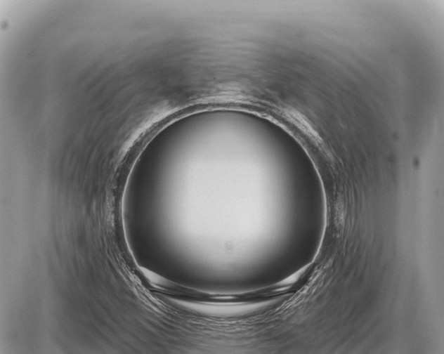 X0000087571356200705041408