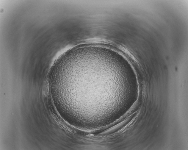 X0000087571358200705041407