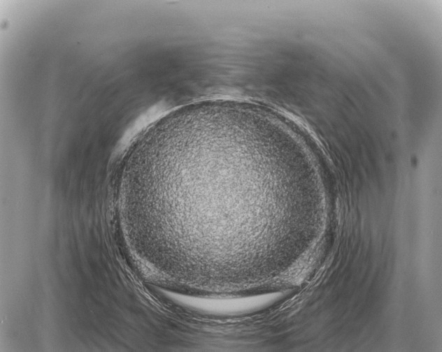 X0000087571359200705041407